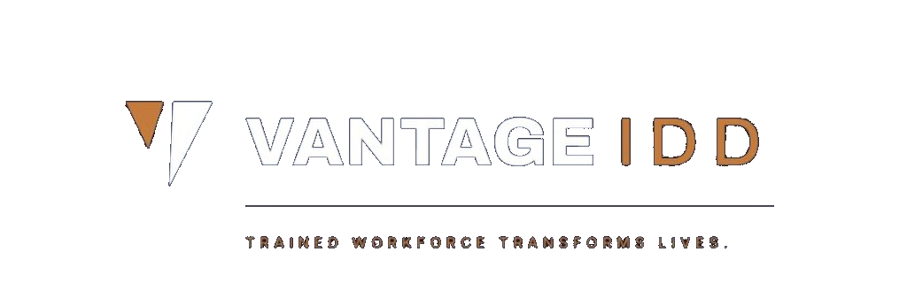 VantageIDD logo